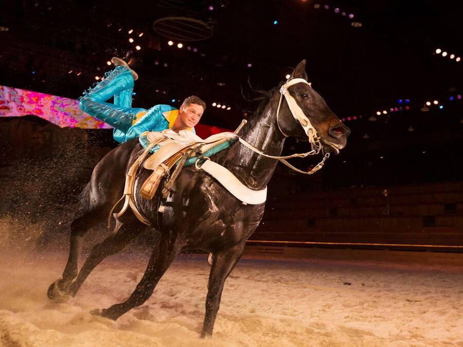 A person riding a black horse in an indoor arena with a sandy floor.