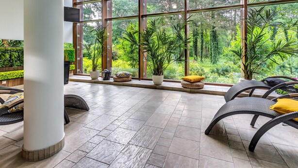 Un espace intérieur vaste et lumineux, avec de grandes fenêtres, des meubles en osier et des plantes en pot.