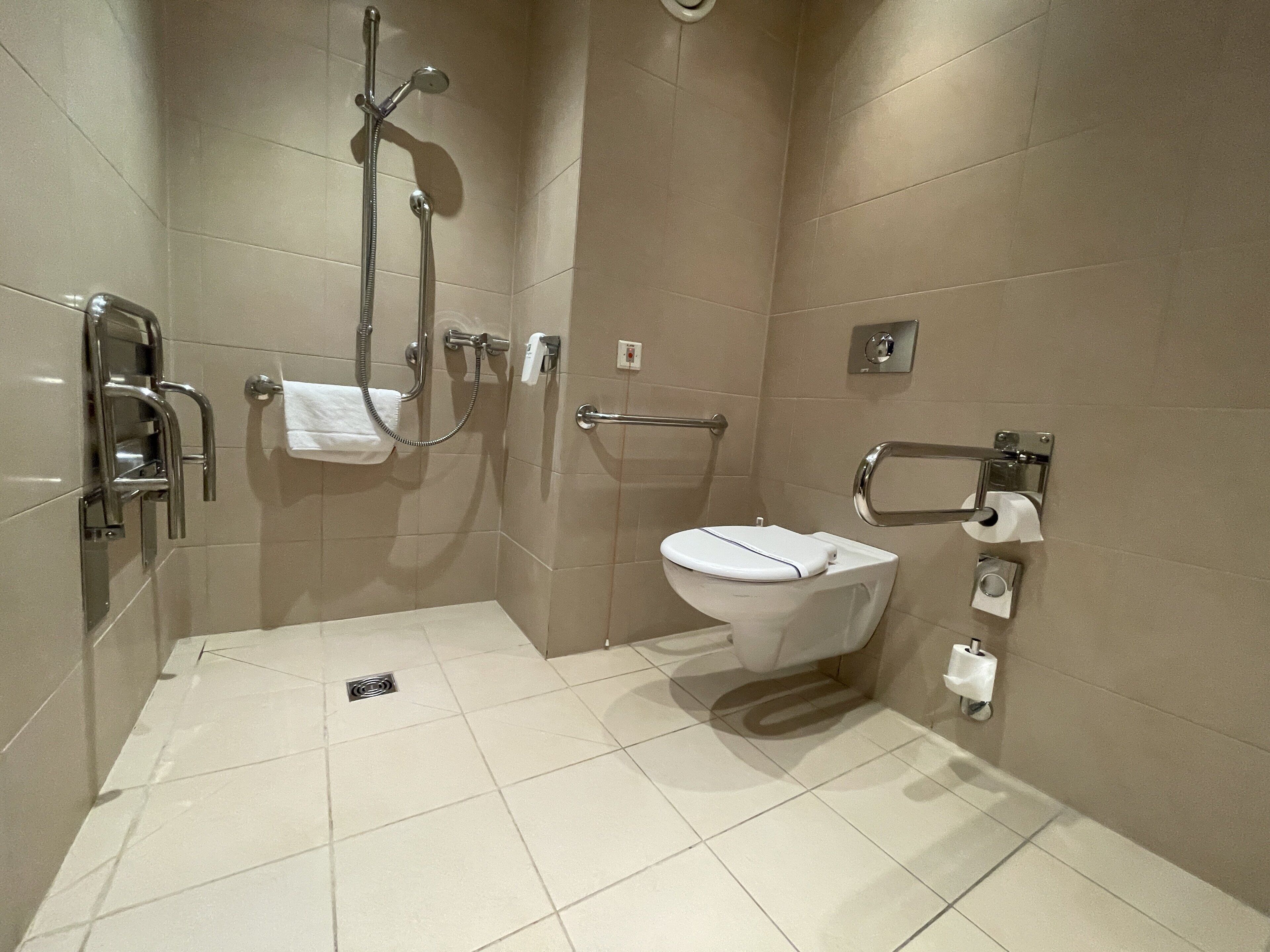 A modern bathroom with a shower, toilet, and handrails.