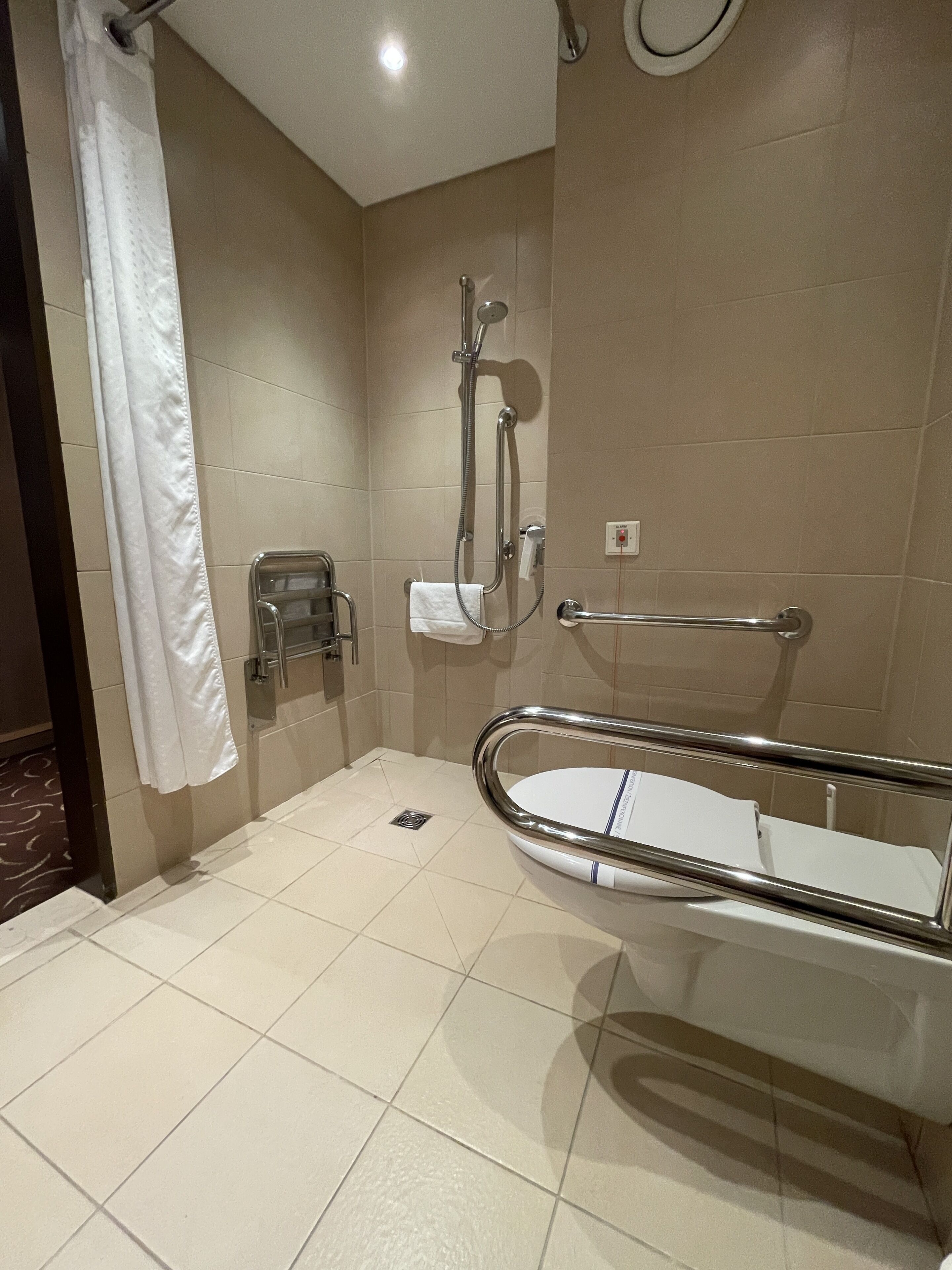 Ein modernes Badezimmer mit Bodendusche, Haltegriffen und einer weißen Toilette.