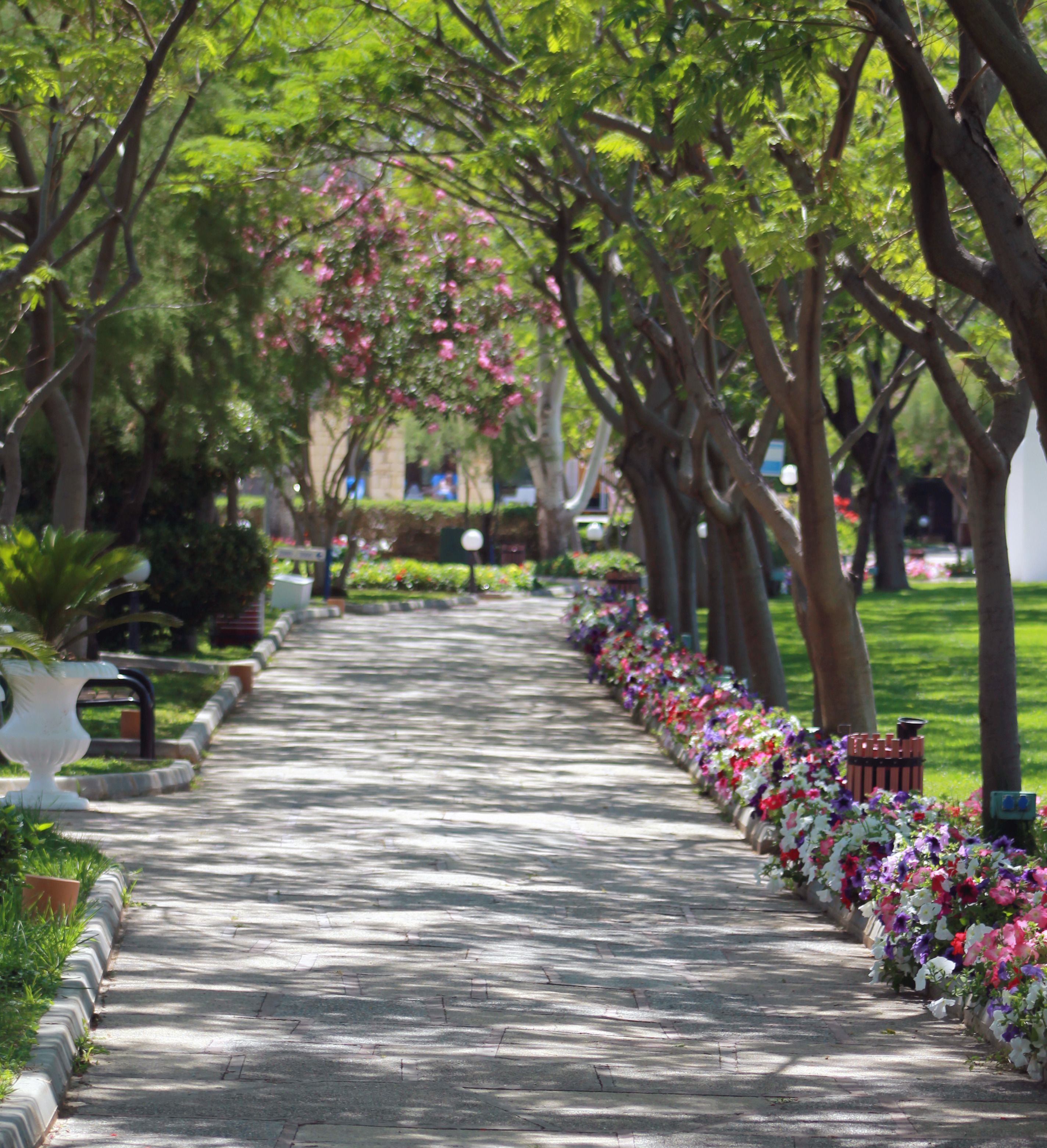 Photo - Labranda Alantur