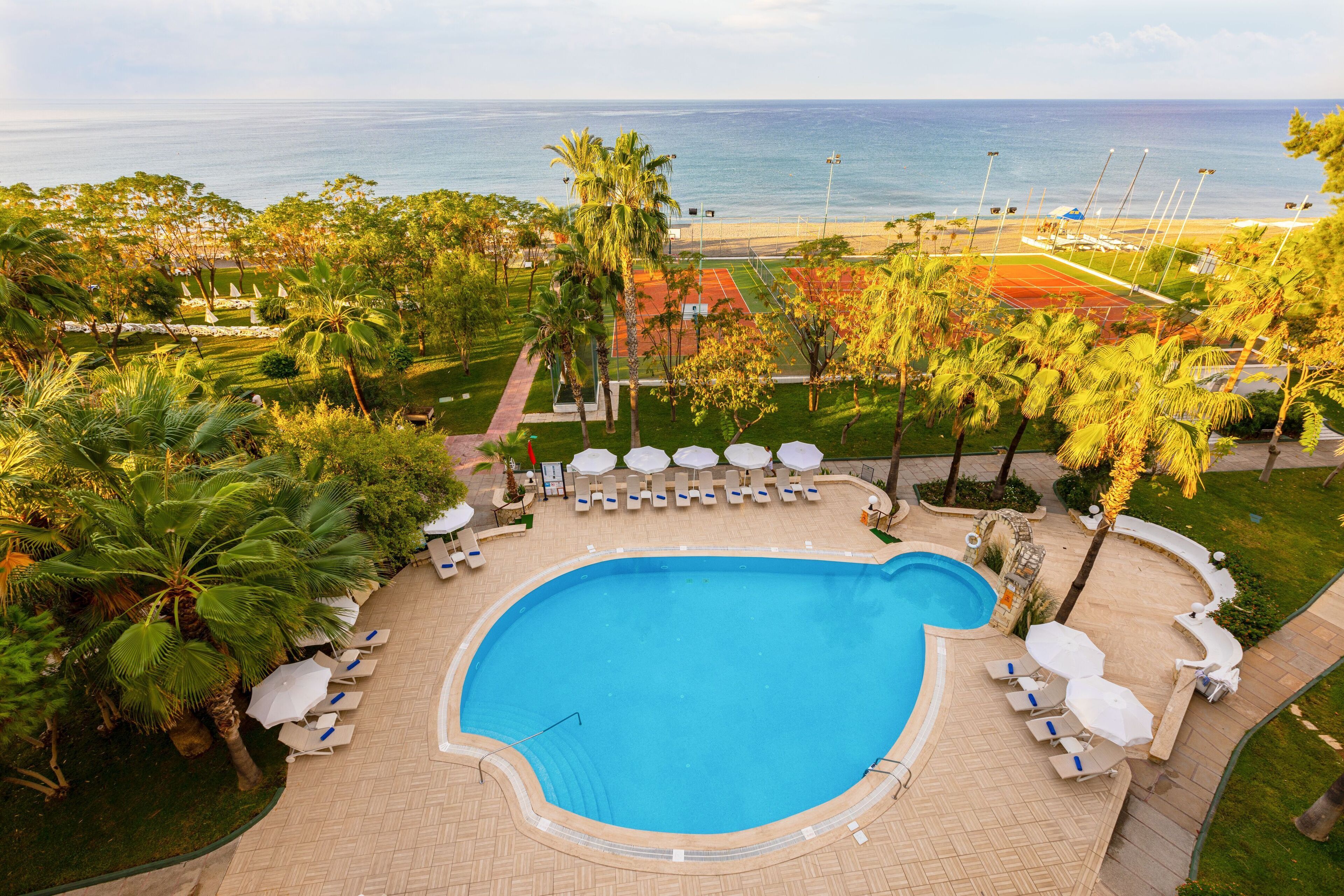 Une piscine entourée de palmiers, avec des chaises longues et des parasols, offrant une vue sur la plage et l’océan.