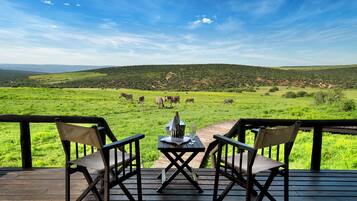 A deck with two chairs and a table, overlooking a grassy field with zebras in the distance.