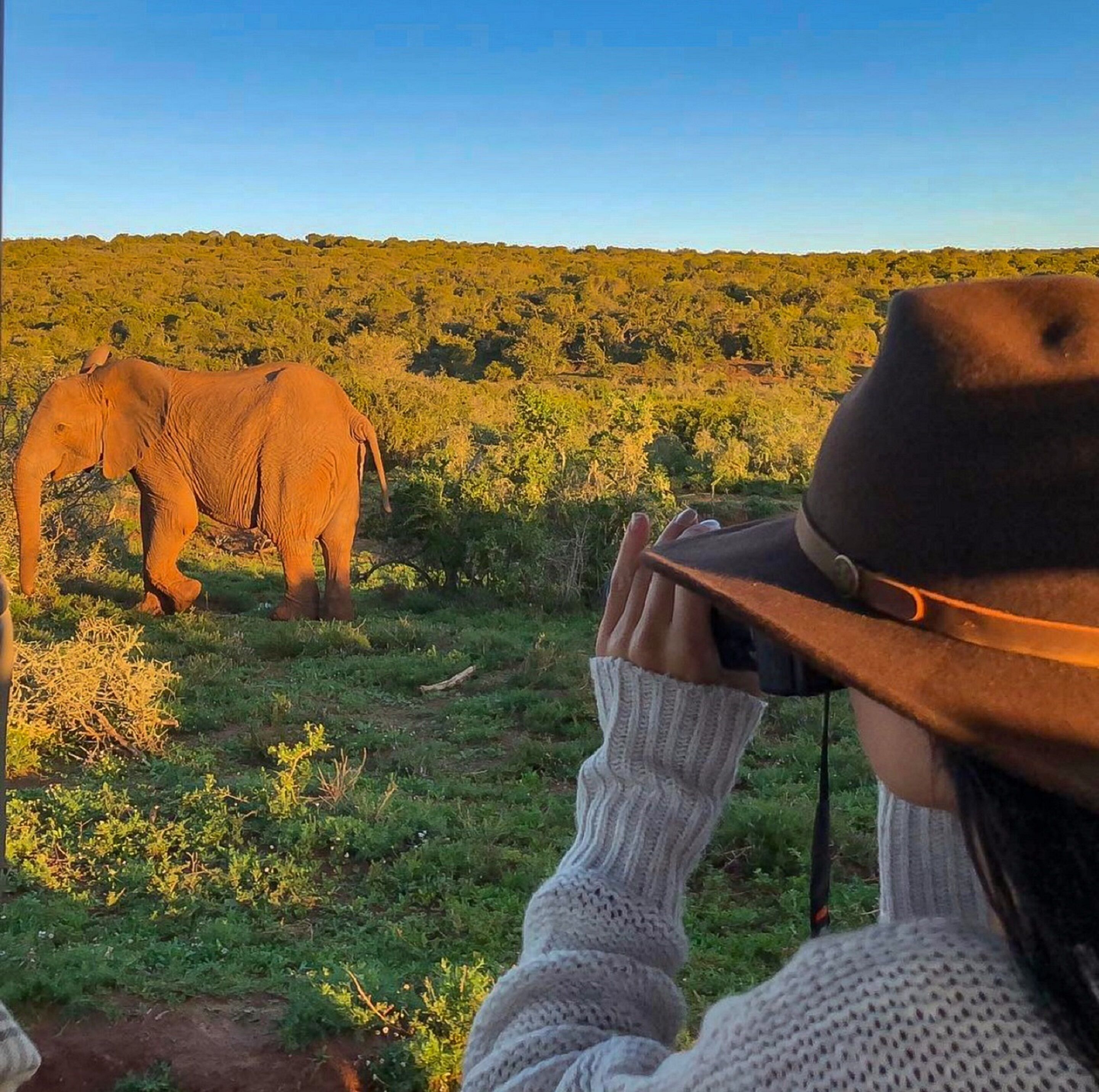 A person taking a photo of an elephant in a natural setting.