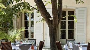 Un área de comedor al aire libre con mesas dispuestas para dos, rodeada de sillas, bajo un gran árbol.