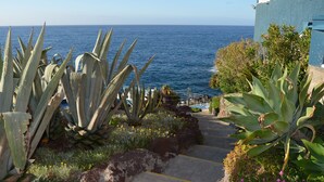A coastal pathway with large agave plants, a clear view of the sea, and a building with a balcony overlooking the ocean. - Royal Orchid (Santa Cruz)