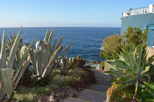 Un sendero costero con grandes plantas de agave, vista despejada del mar y un edificio con balcón con vistas al océano.