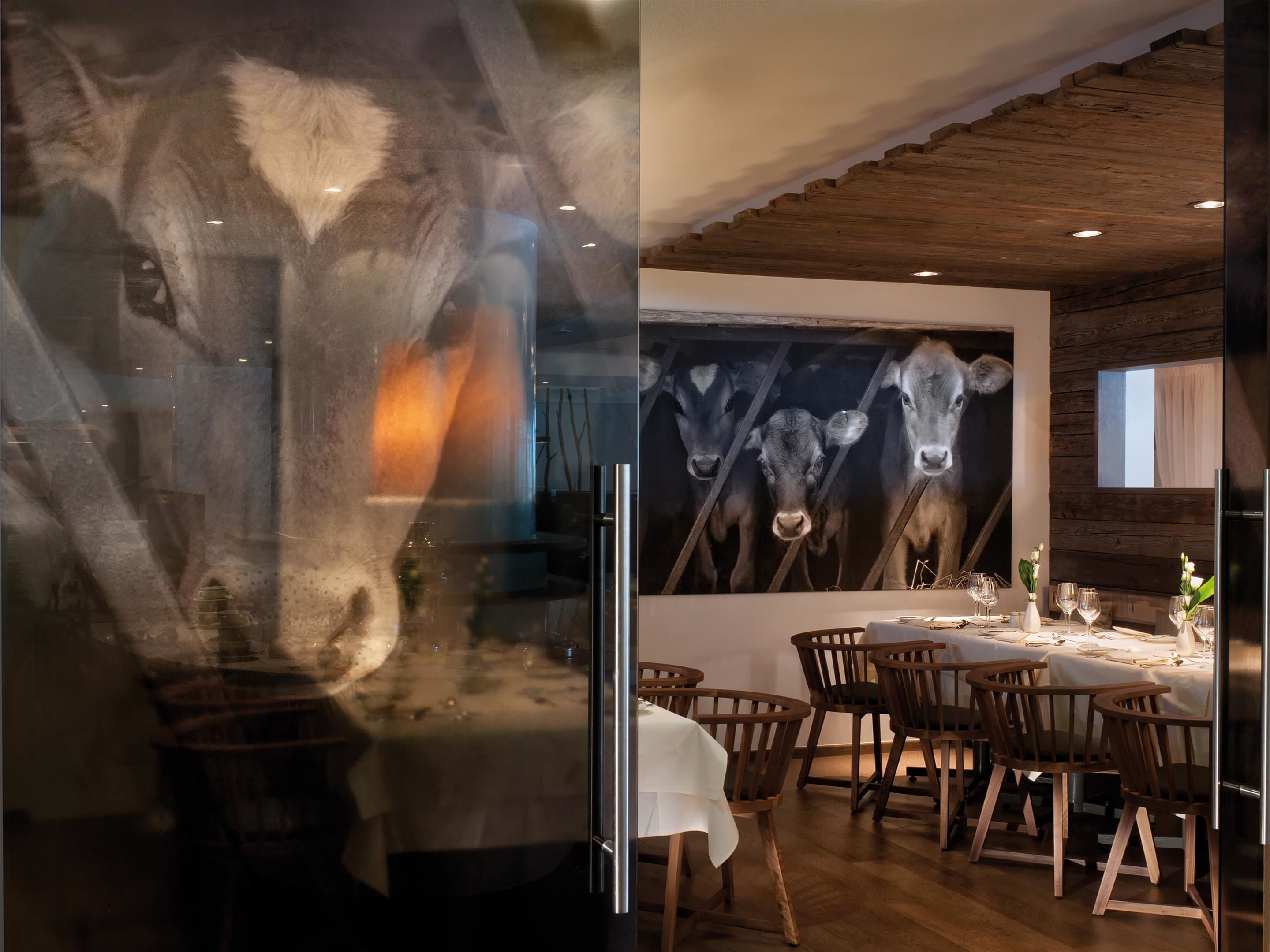 breakfast, lunch, dinner served; international cuisine