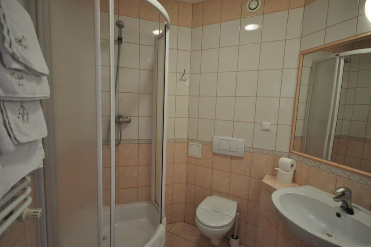 A bathroom with a shower, toilet, sink, and a mirror.