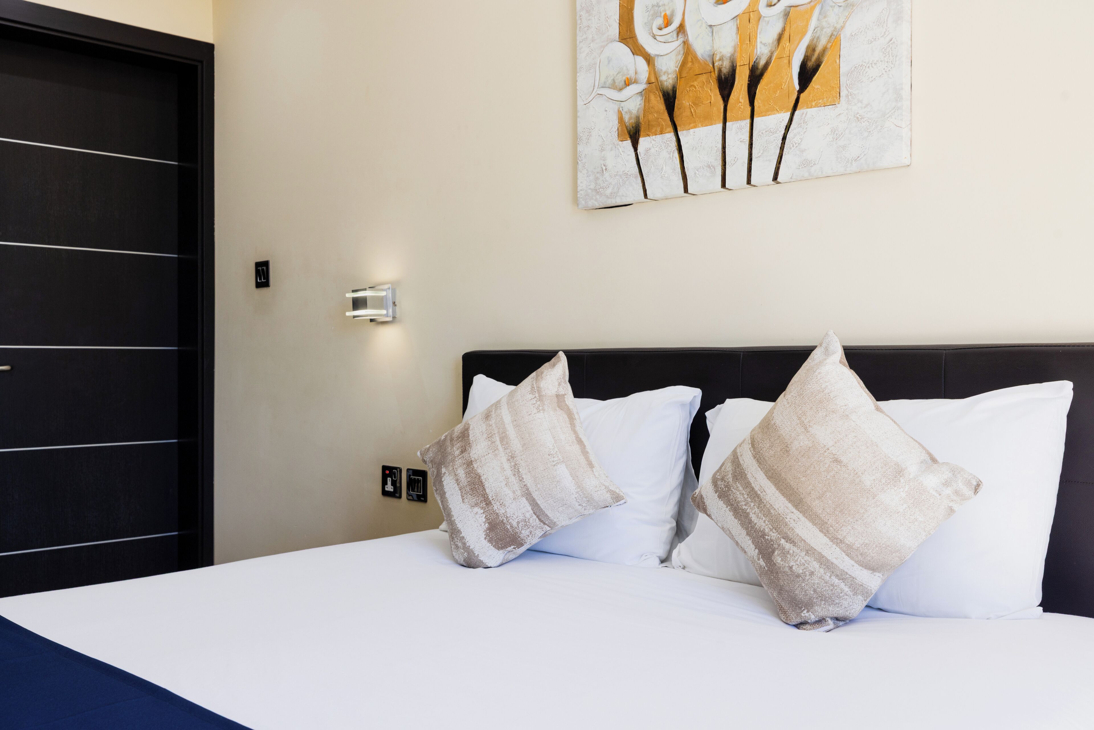 A hotel room with a bed, two decorative pillows, a wall-mounted artwork, and a door.