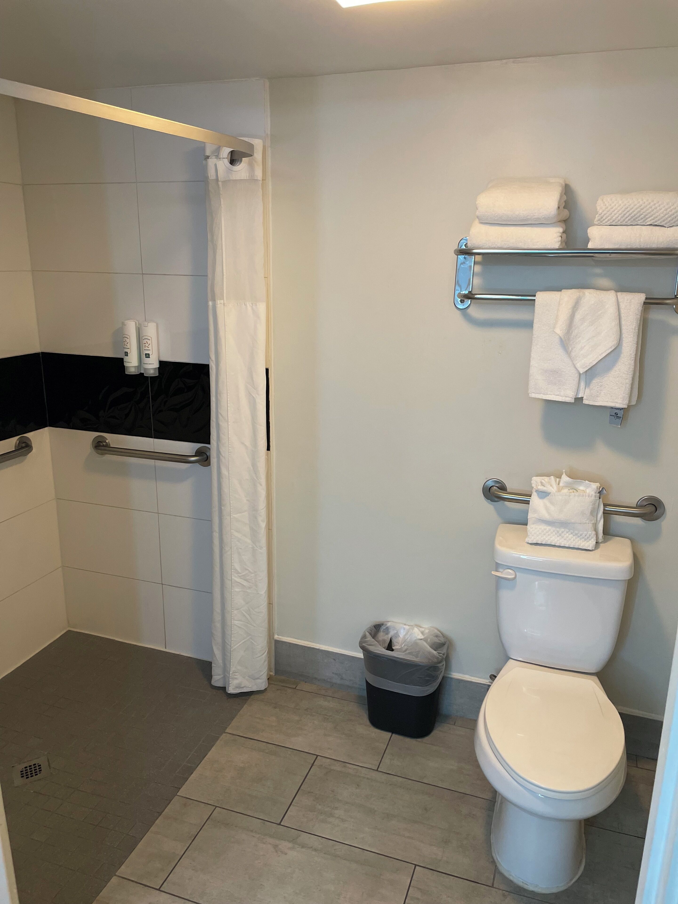 A bathroom with a shower, toilet, and towel rack.