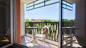 Estudio (Triple) | Terraza o patio