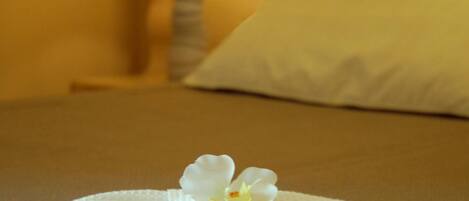 Una cama bien hecha con un almohadón blanco y una sola flor blanca.