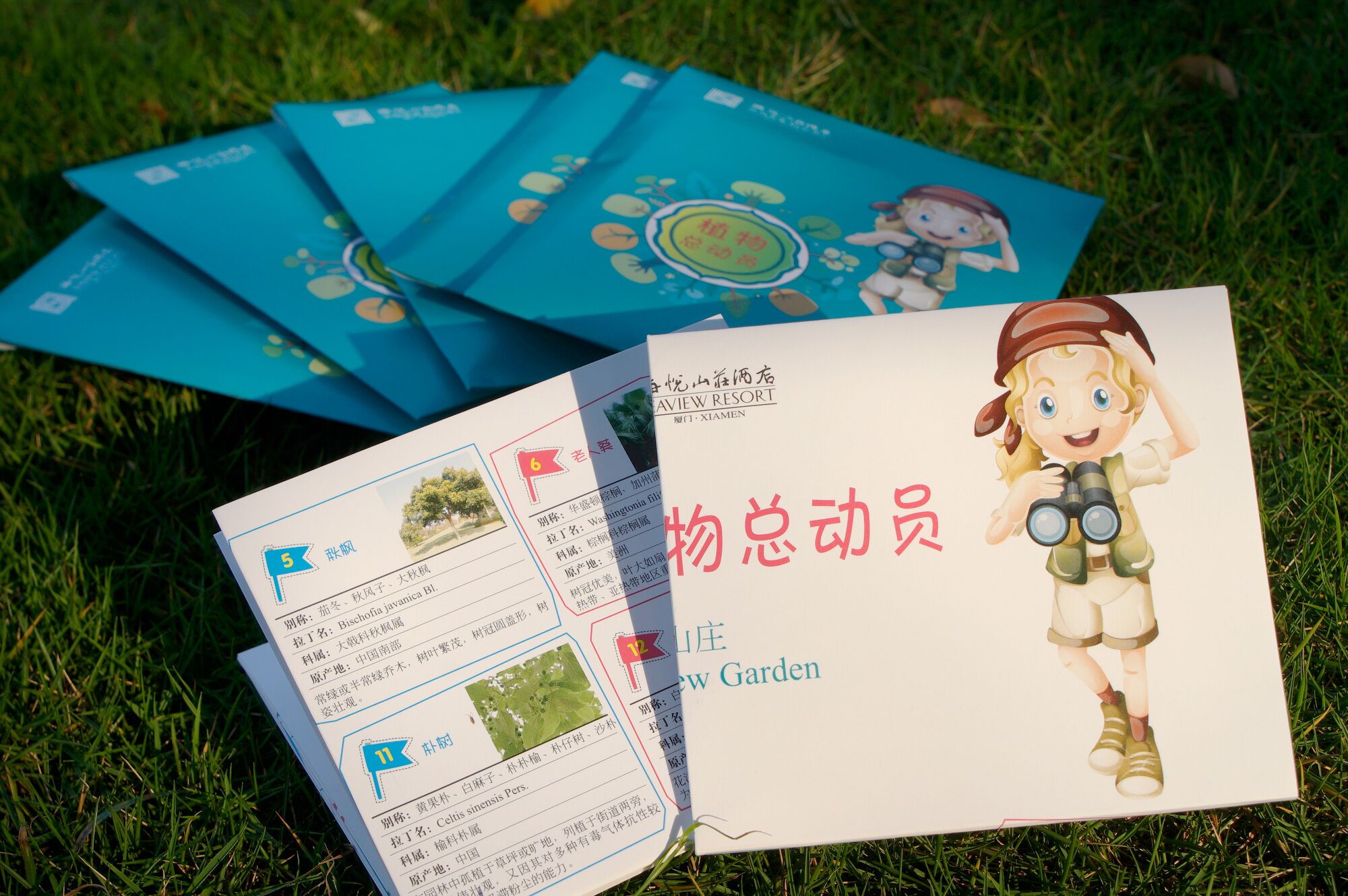 children’s play area – outdoor