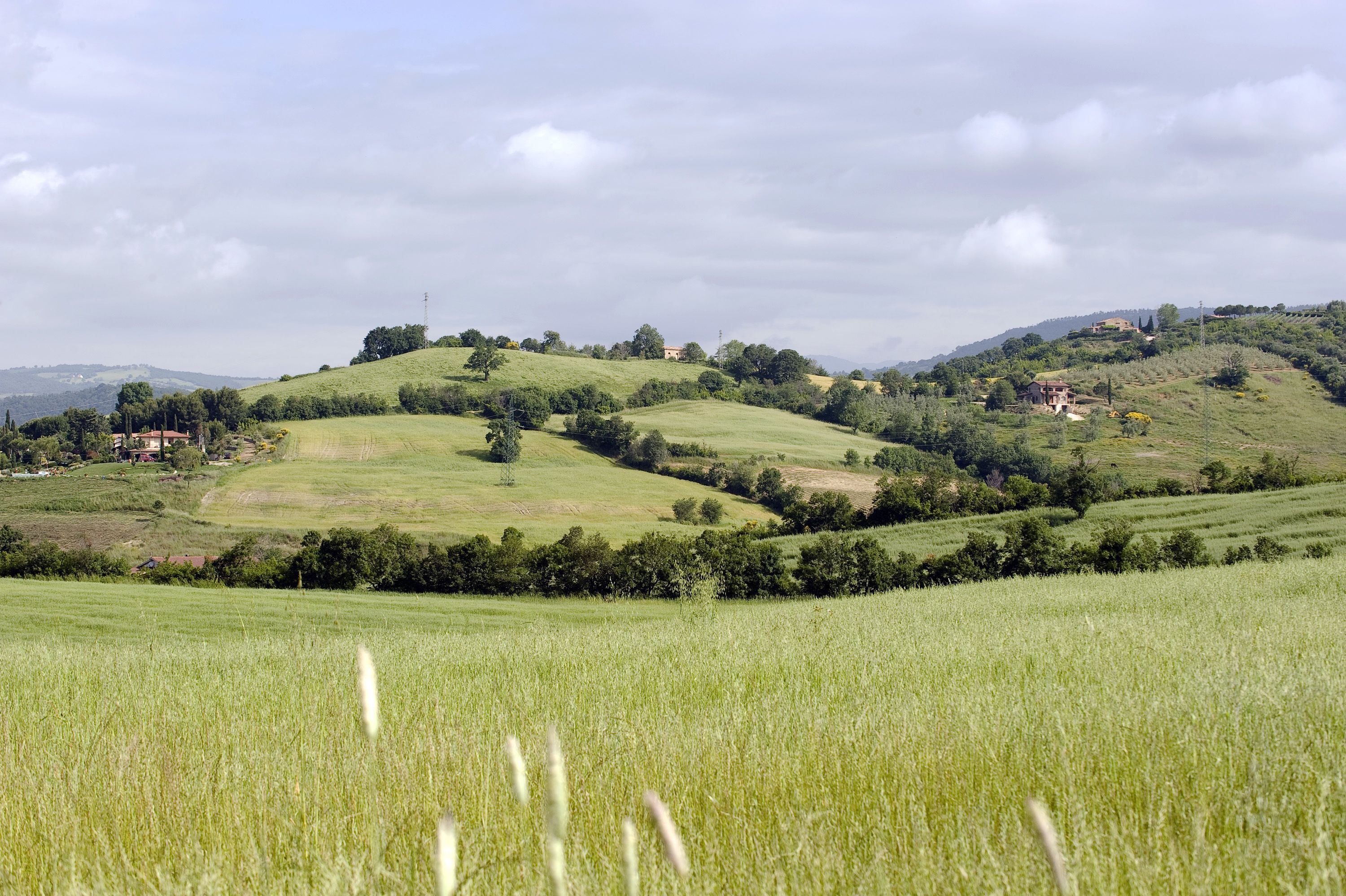 Un paisaje rural con colinas onduladas, campos y casas dispersas.