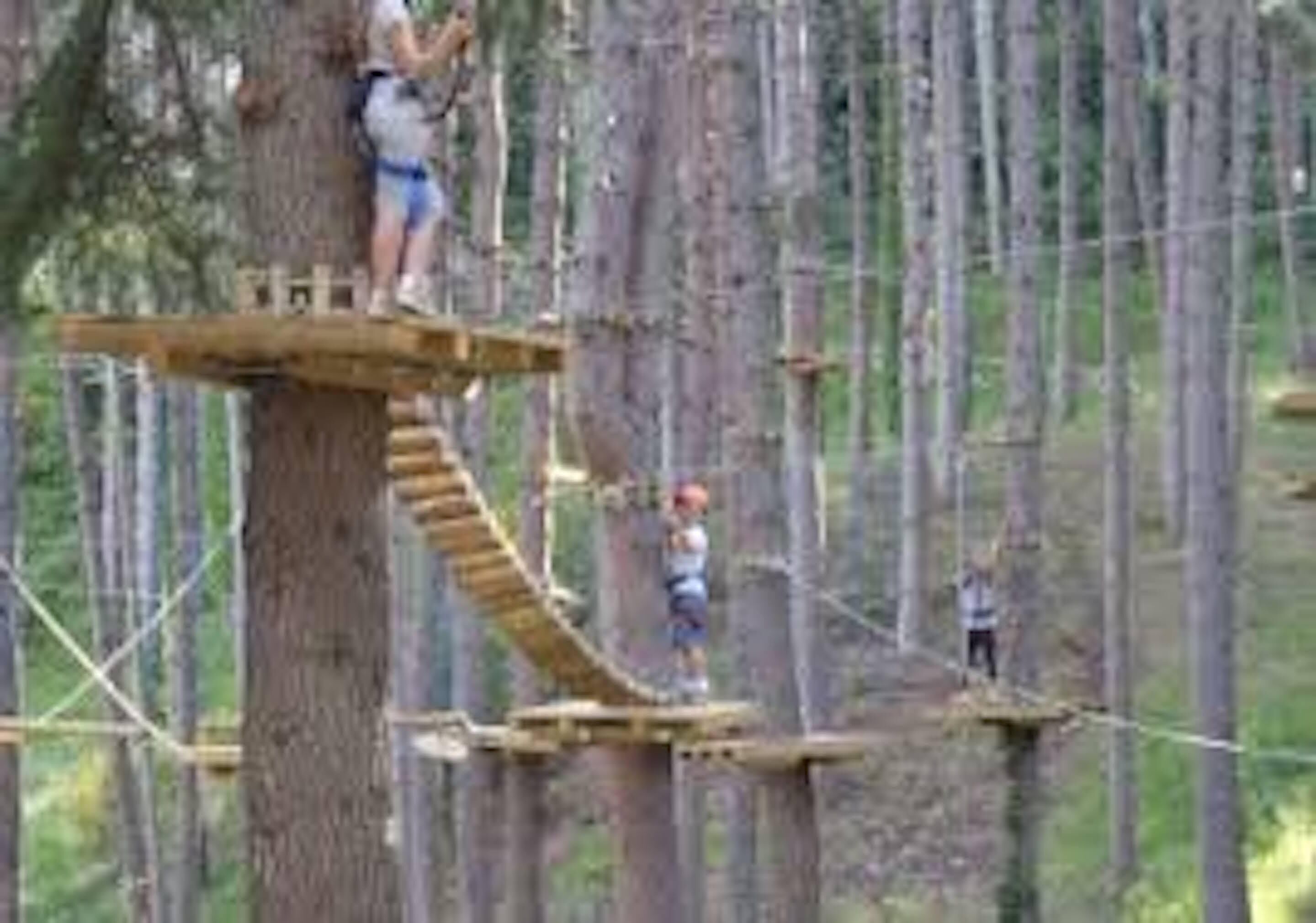 ropes course (team building)