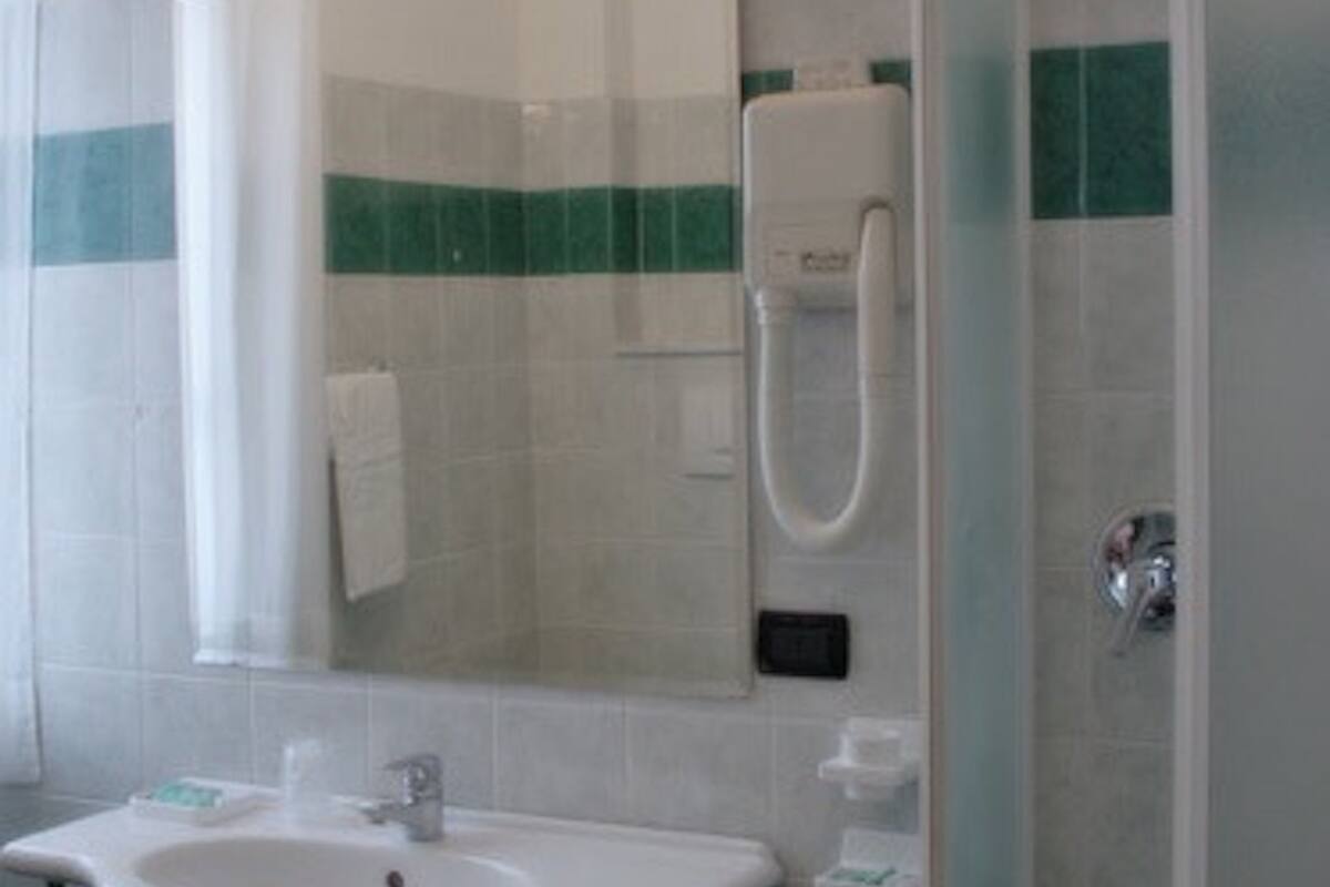 shower, hair dryer, bidet, towels