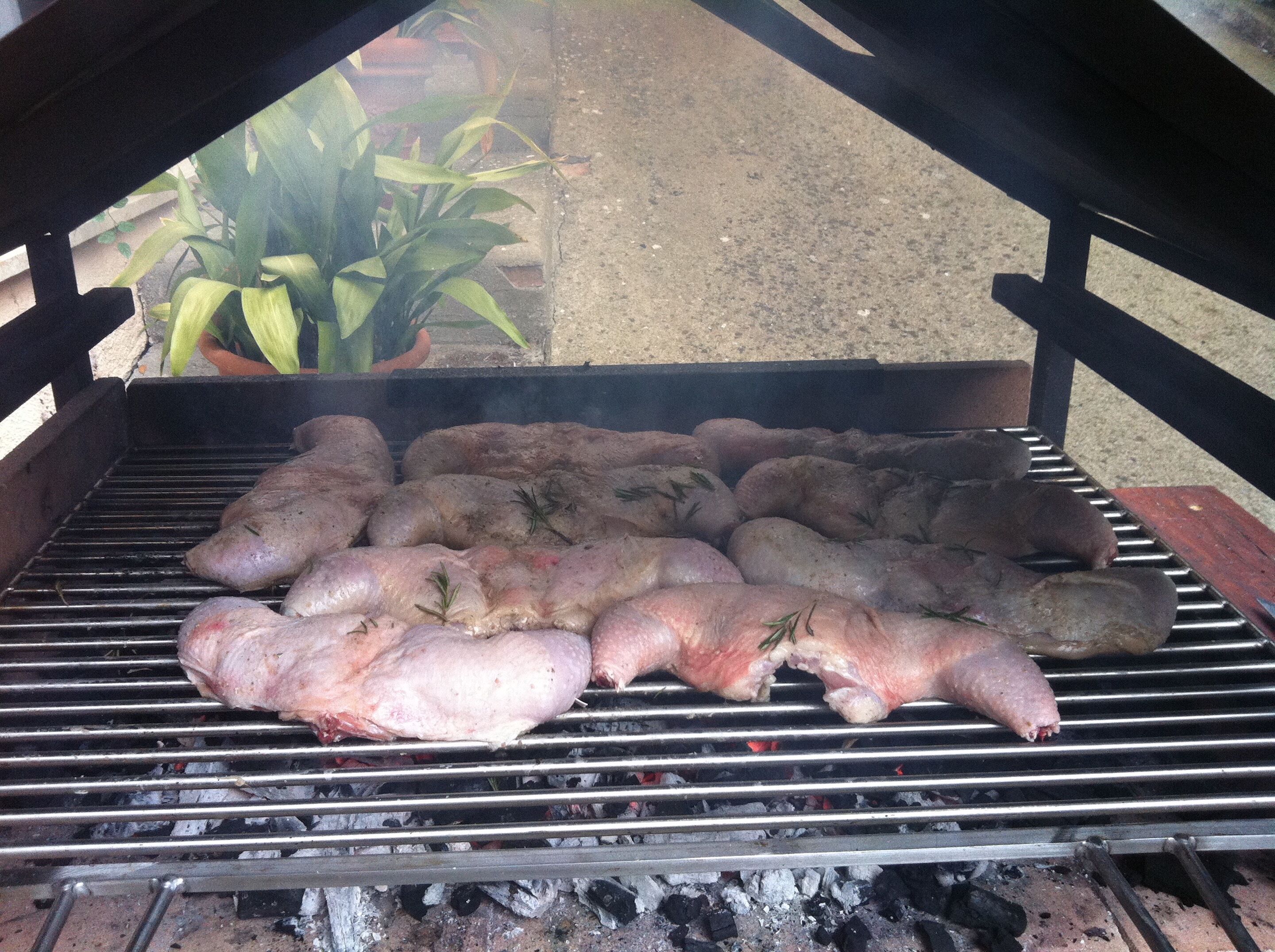 Una parrilla con varios pollos enteros y cerdos asándose al aire libre.