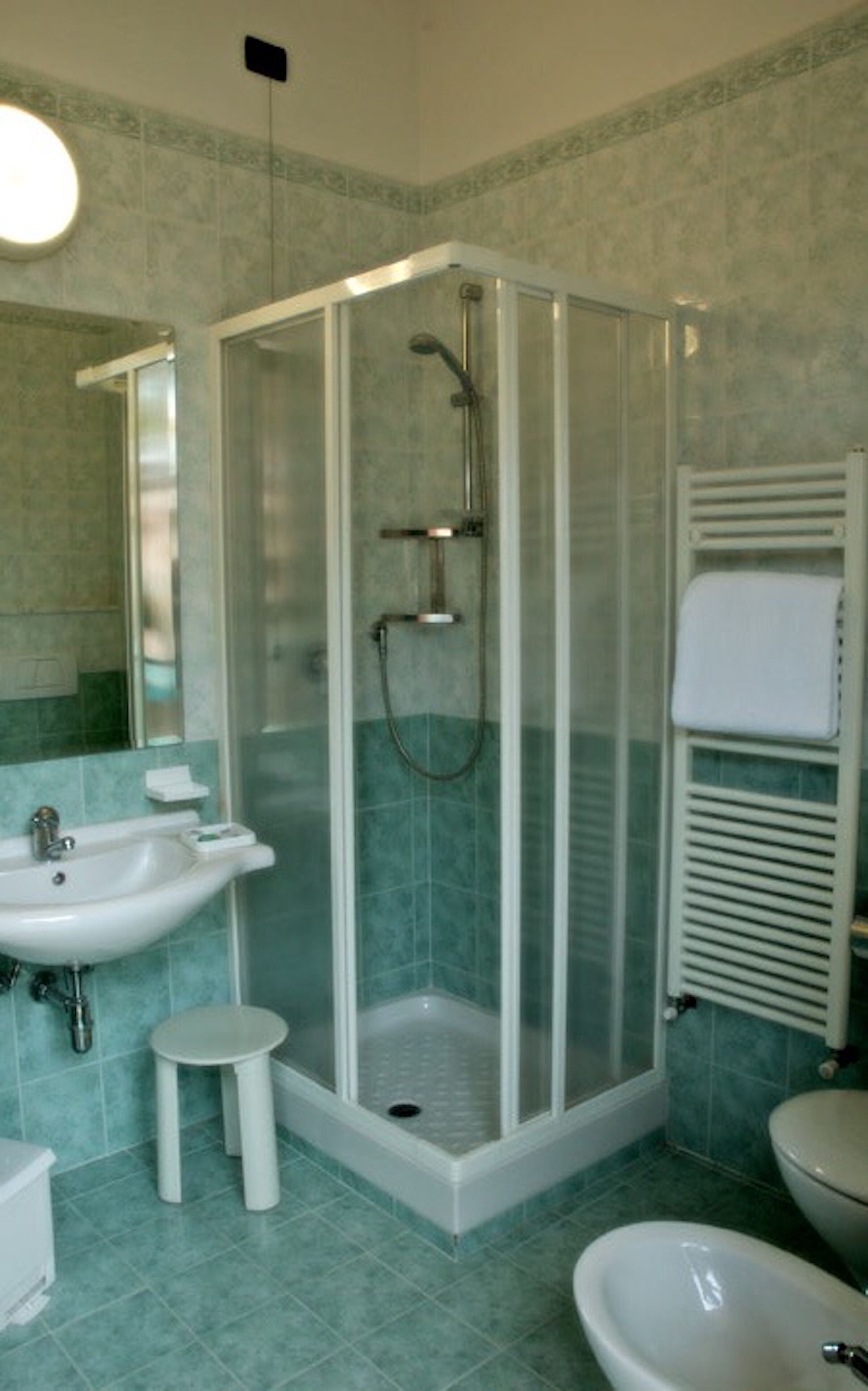 shower, hair dryer, bidet, towels