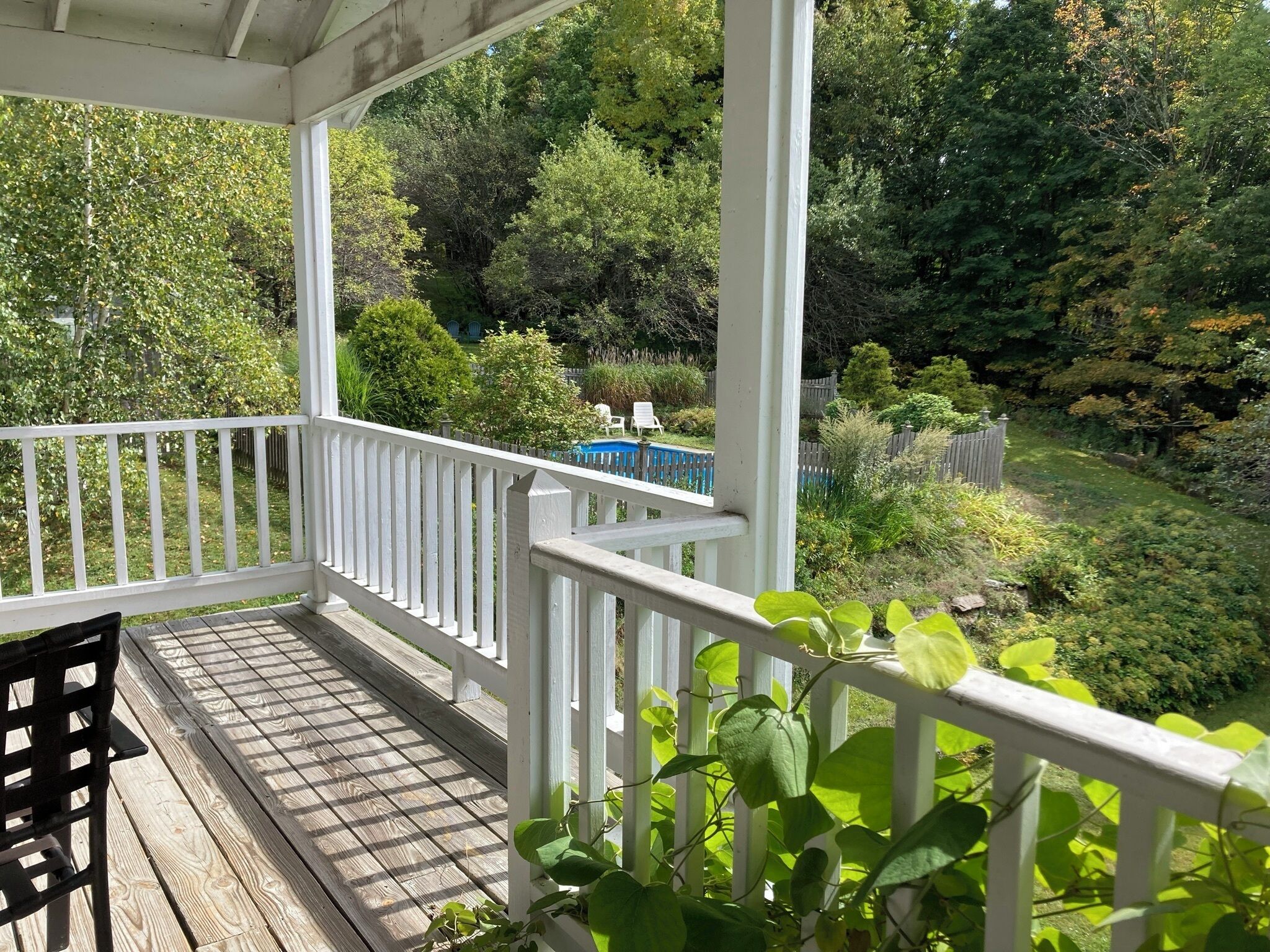 A wooden deck with white railings, surrounded by lush greenery and a blue pool in the background.