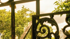 Un portail en fer forgé avec une structure en bois derrière, une enseigne avec du texte, et une vue sur des arbres.