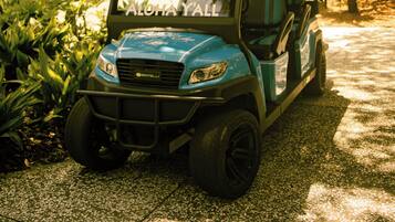 A golf cart parked on a gravel path surrounded by greenery.