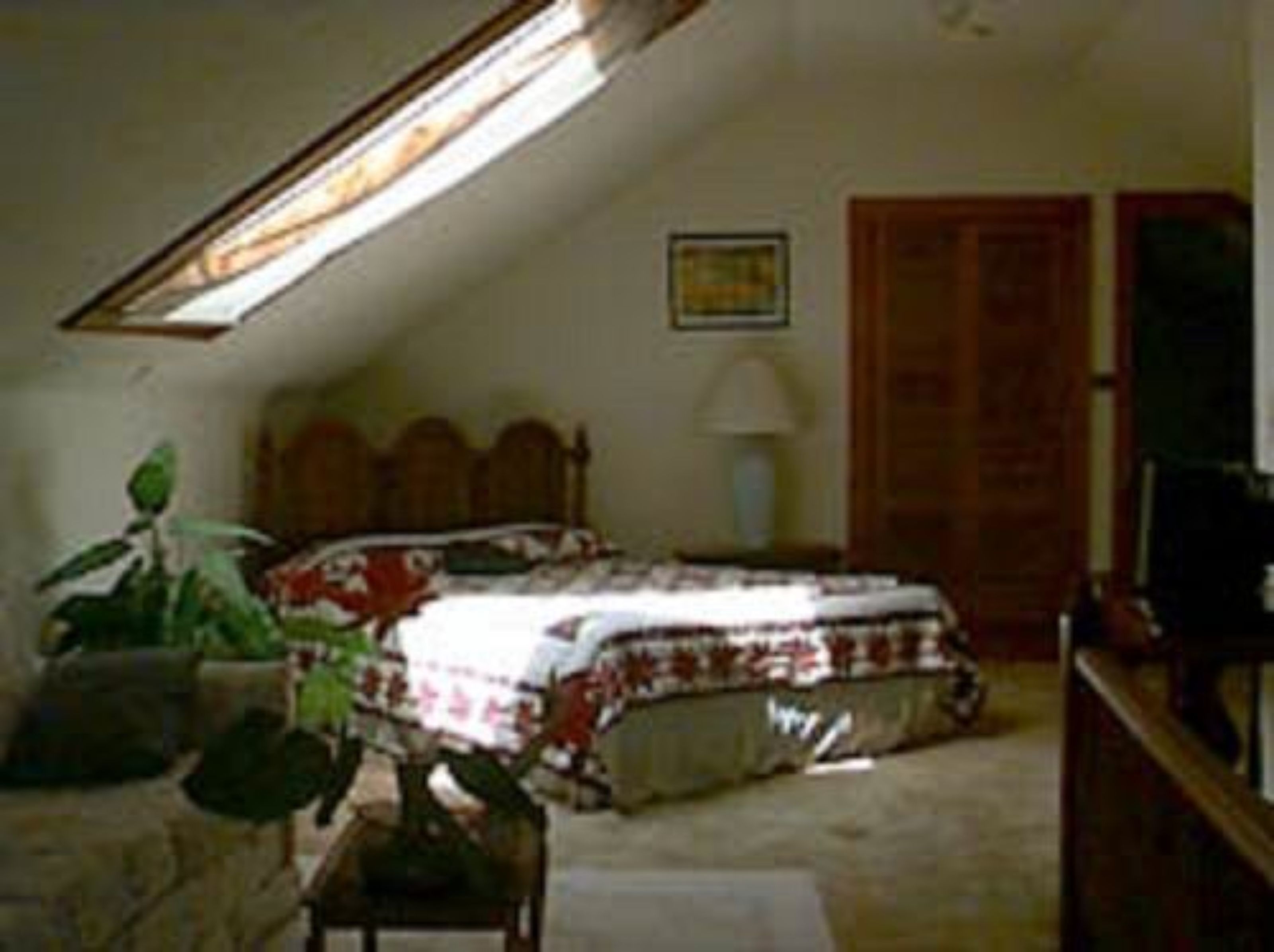 Room | Individually decorated, free WiFi