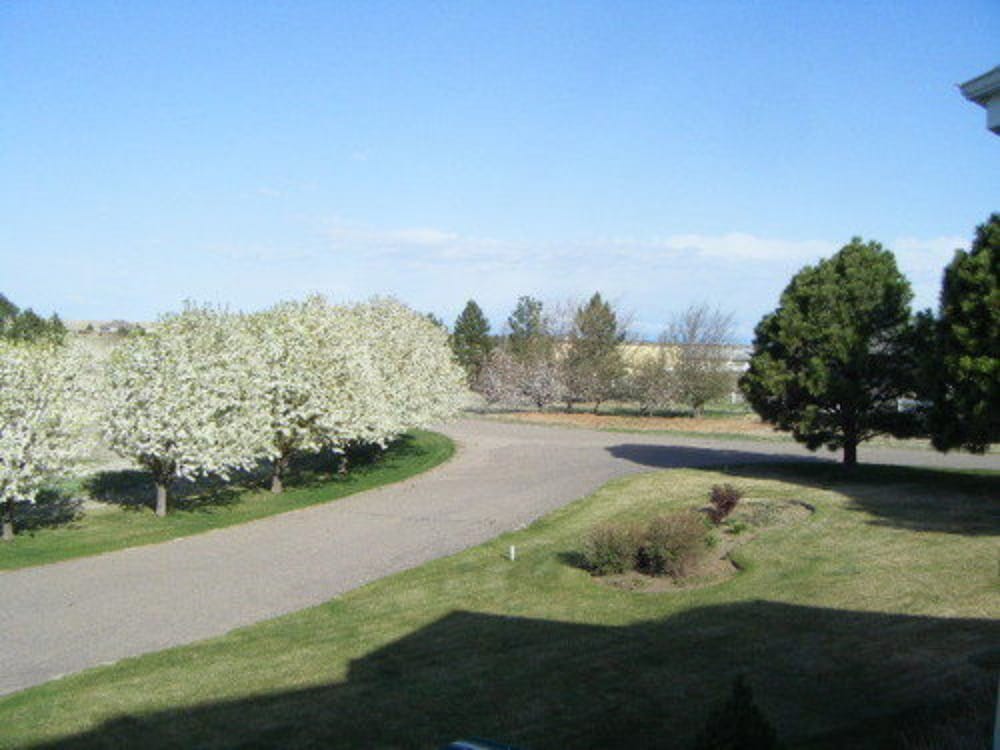 Claremont Inn & Winery by null