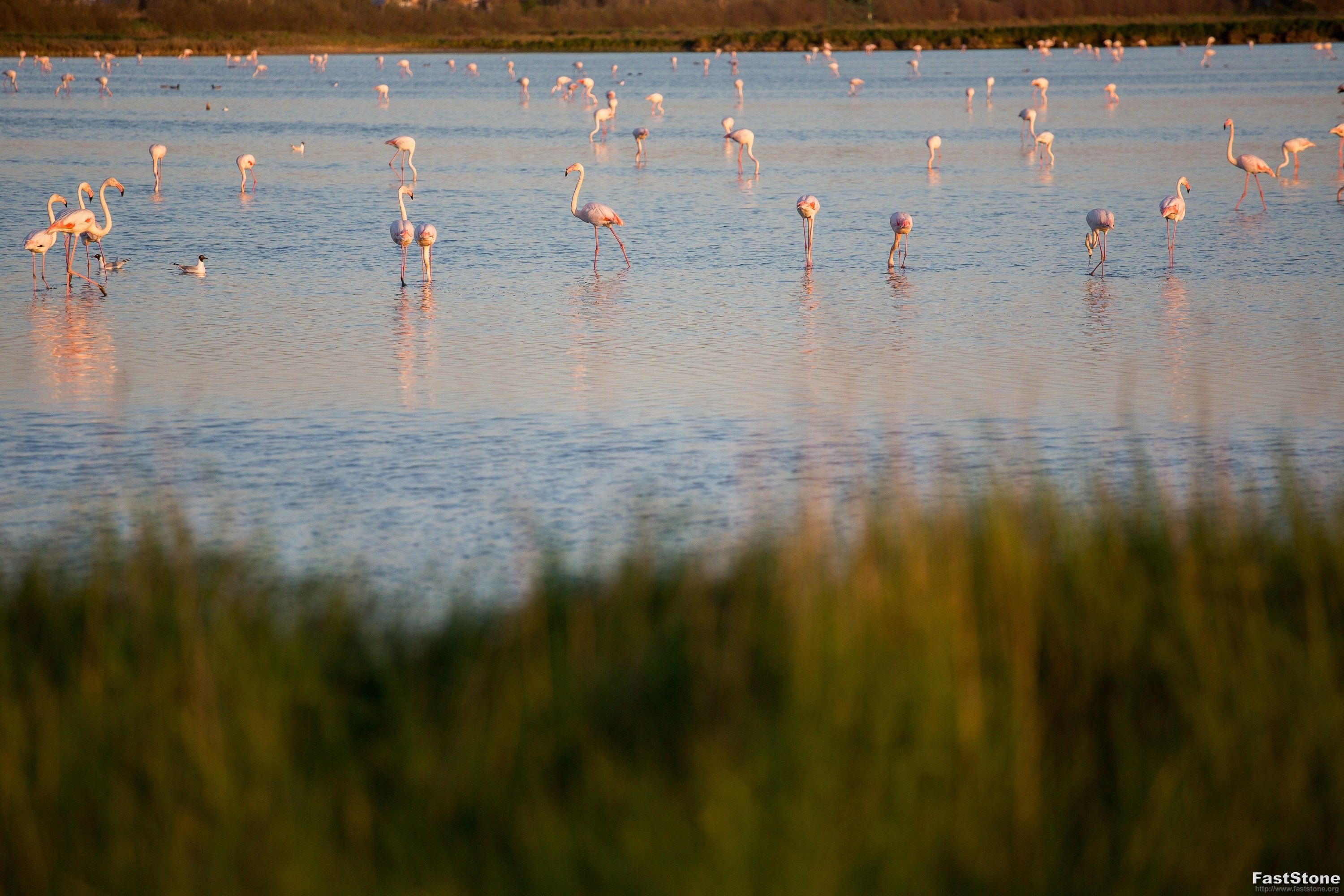 Photo - Hotel Solemare