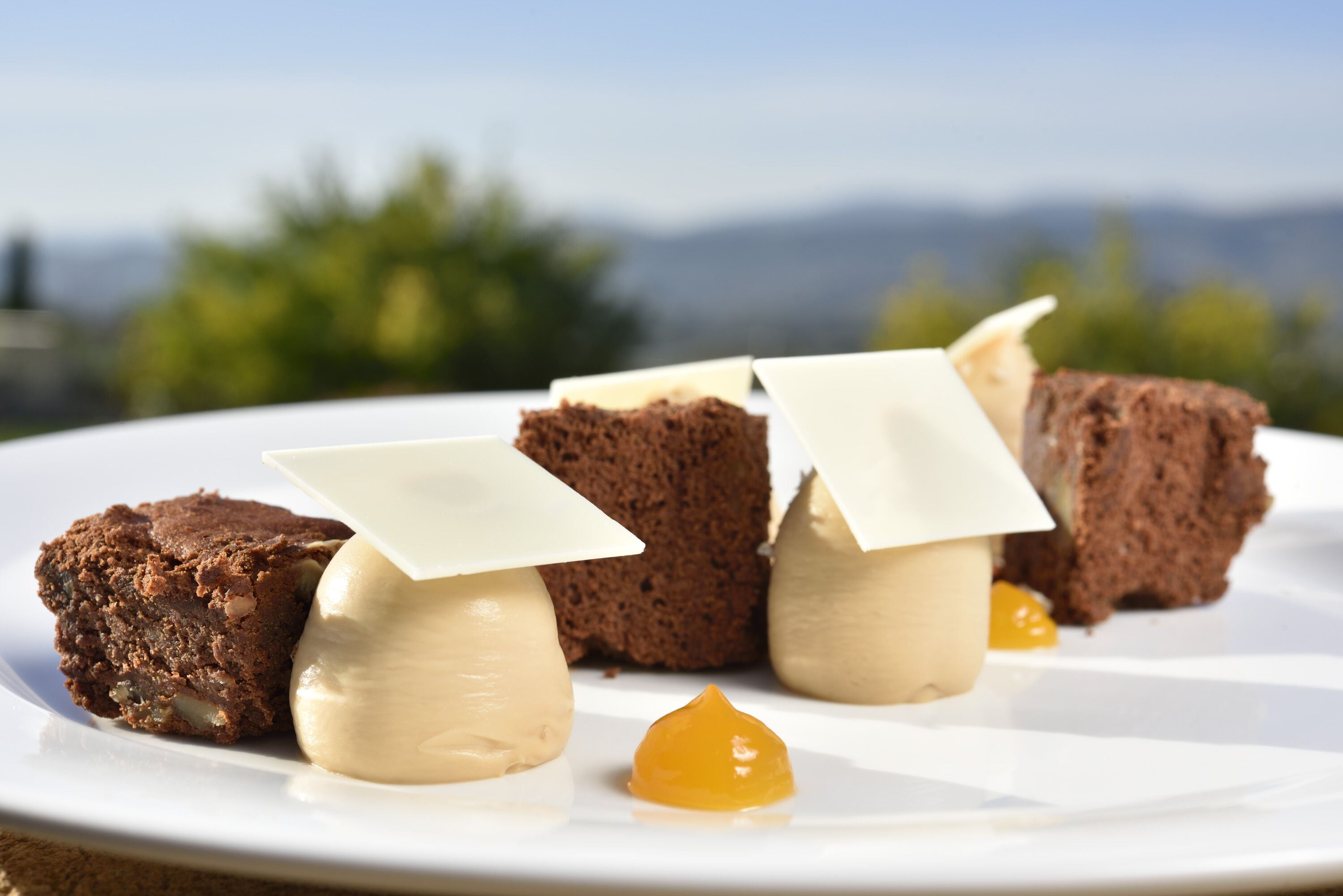 Photo - Borgobrufa Spa Resort Adults Only