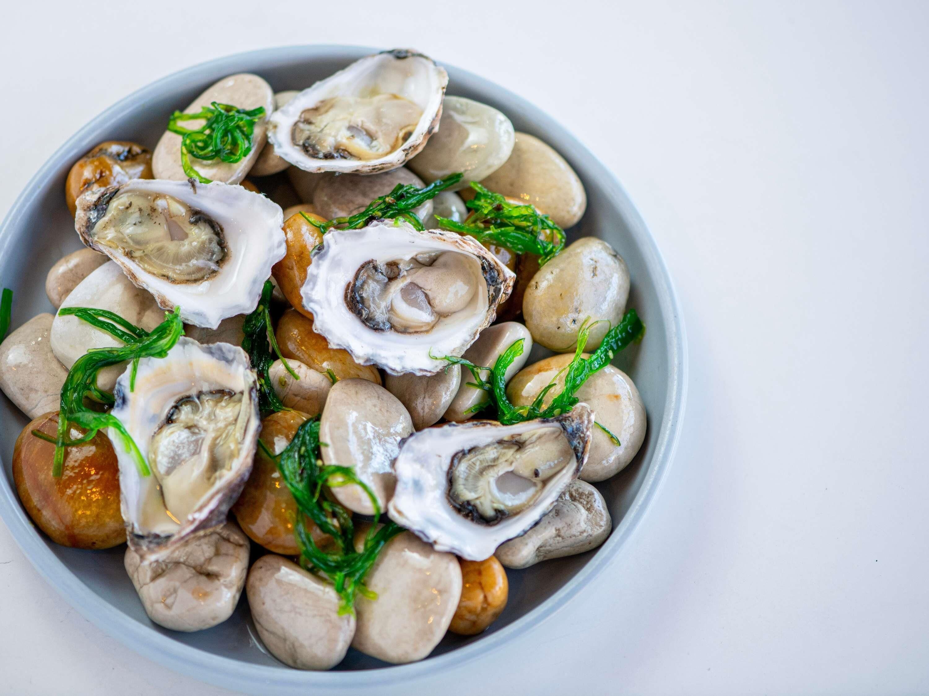 A bowl of oysters with green garnish.