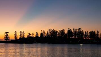A sunset over a body of water with a forest in the background.