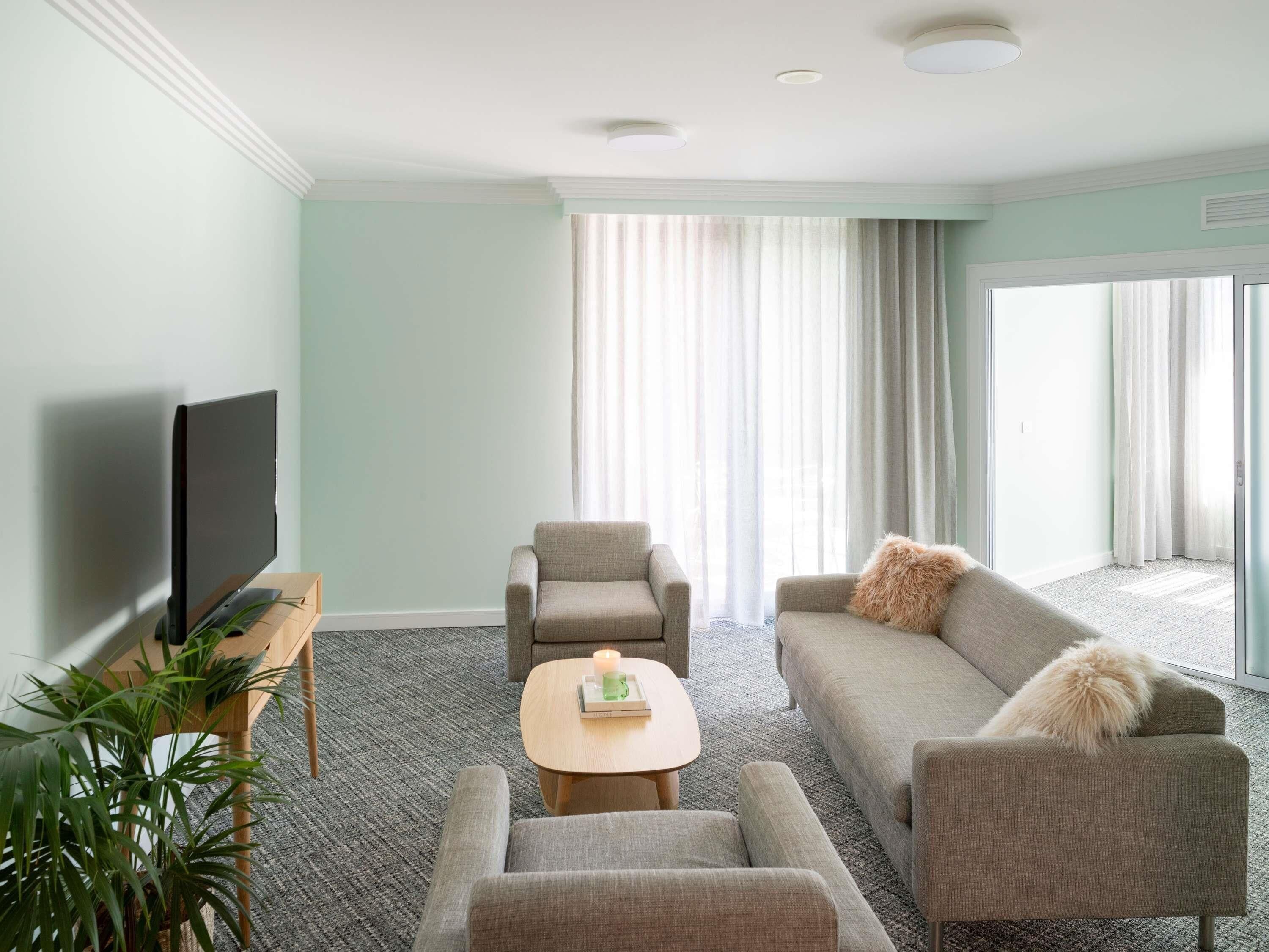 A modern hotel room with a flat-screen TV, a sofa, a coffee table, and a potted plant.