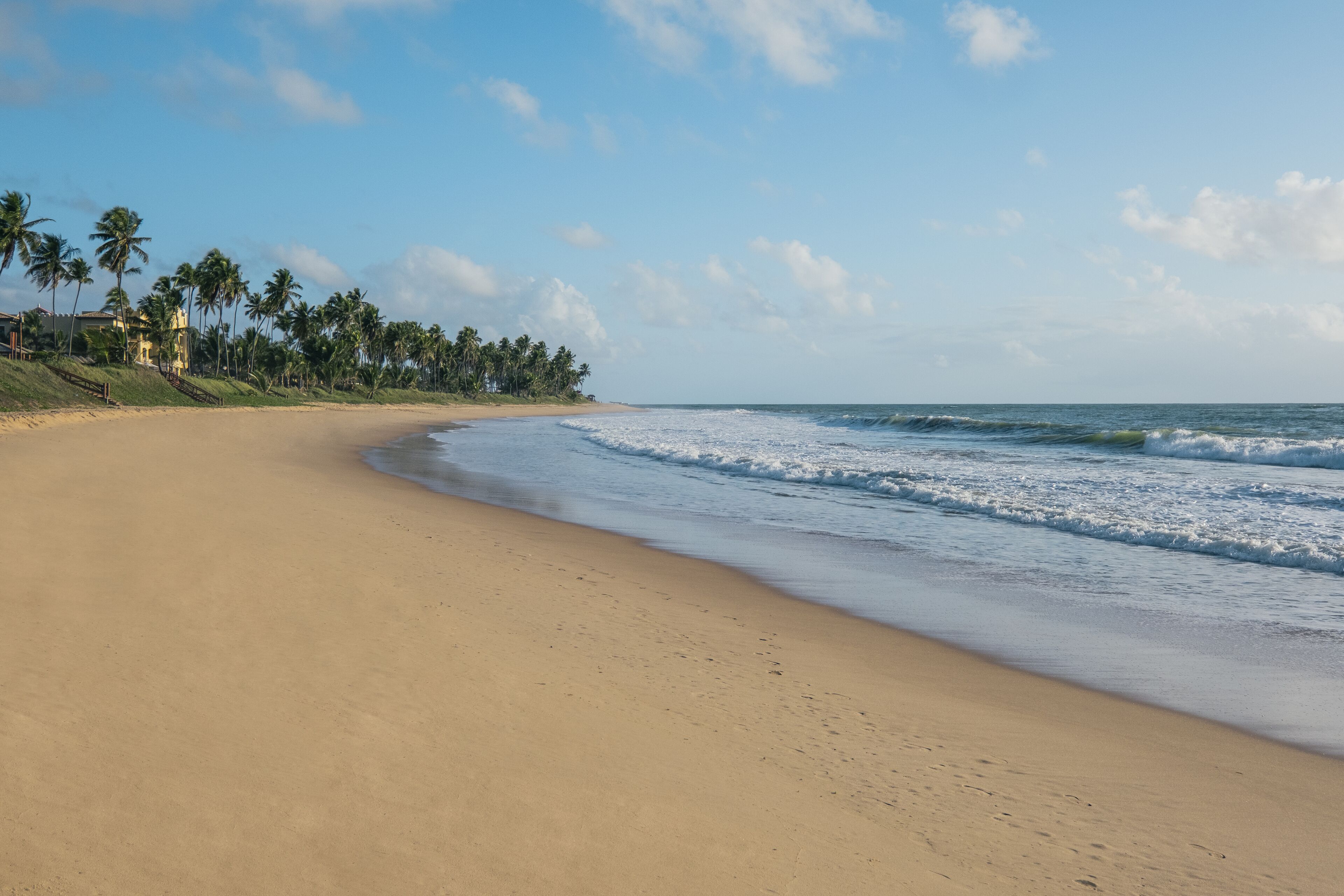 A wide sandy beach with gentle waves, palm trees, and a clear sky.