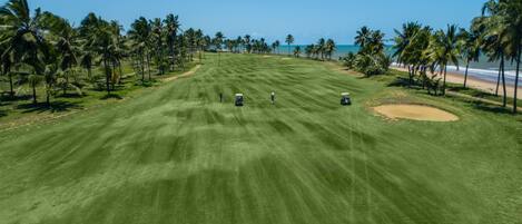 Un campo de golf con vistas despejadas al océano y palmeras.