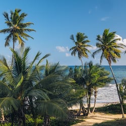 Enjoy a serene beach scene with a clear ocean view and sandy shore.