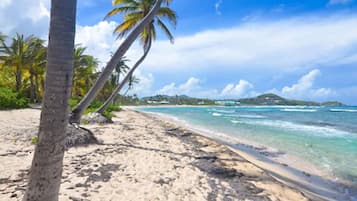 On the beach, snorkeling, beach bar, fishing