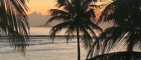 På stranden, snorkling, strandbarer, fiskeri