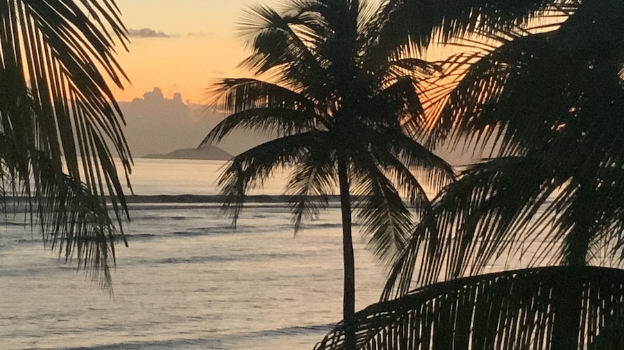 The Palms at Pelican Cove
