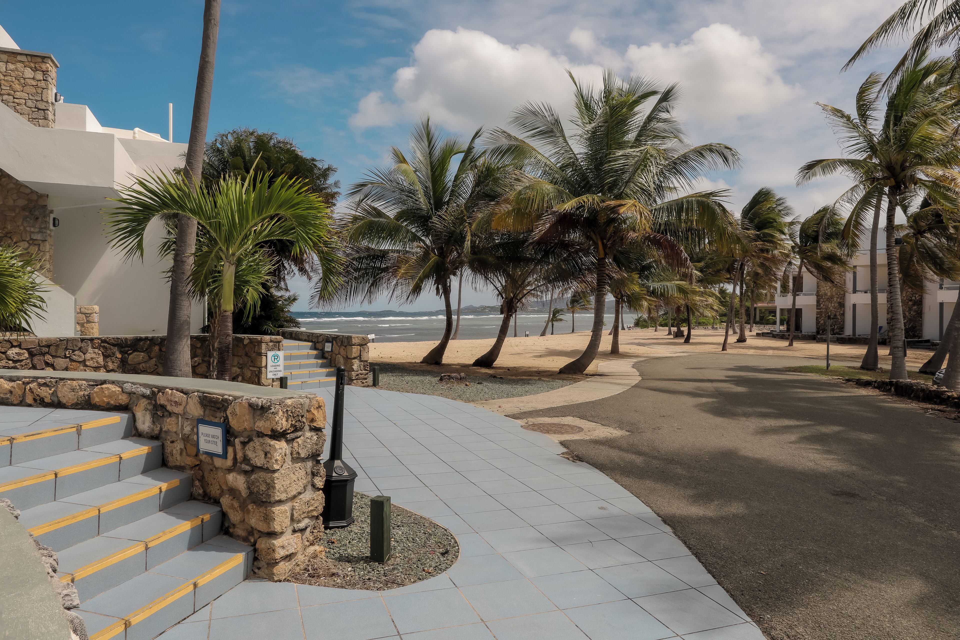 A coastal walkway with palm trees, a stone wall, and a view of the beach.