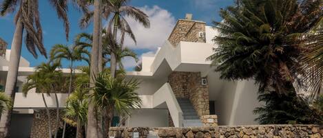 A modern building with a stone facade, a staircase leading to a second floor, and palm trees in the foreground.