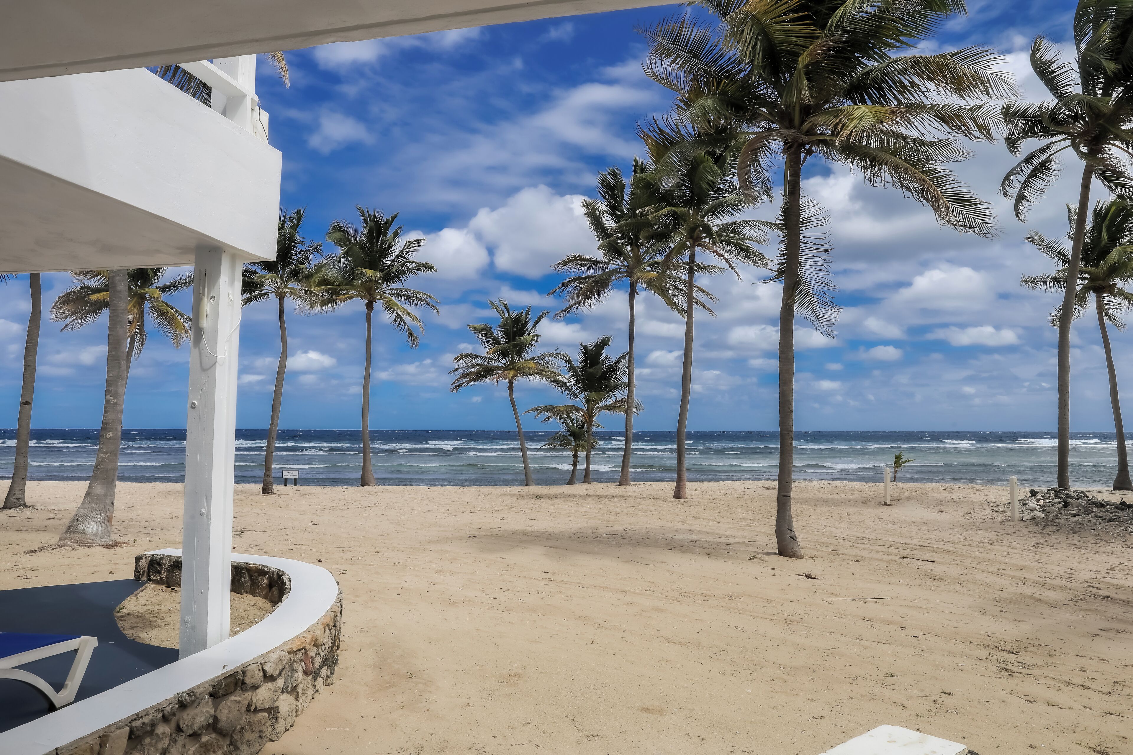Blick auf einen Strand mit Palmen, feinem Sand und dem Meer.