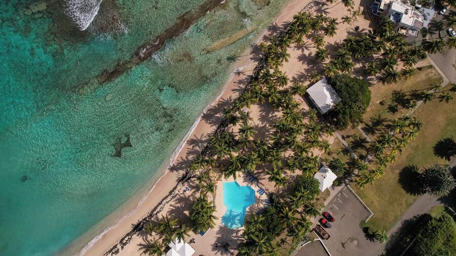 Palms Resort and Beach