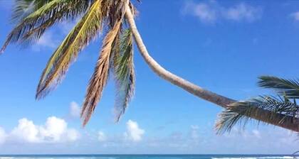 The Palms at Pelican Cove