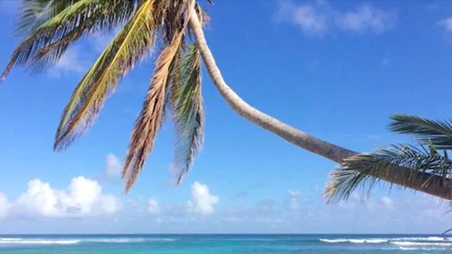 The Palms at Pelican Cove