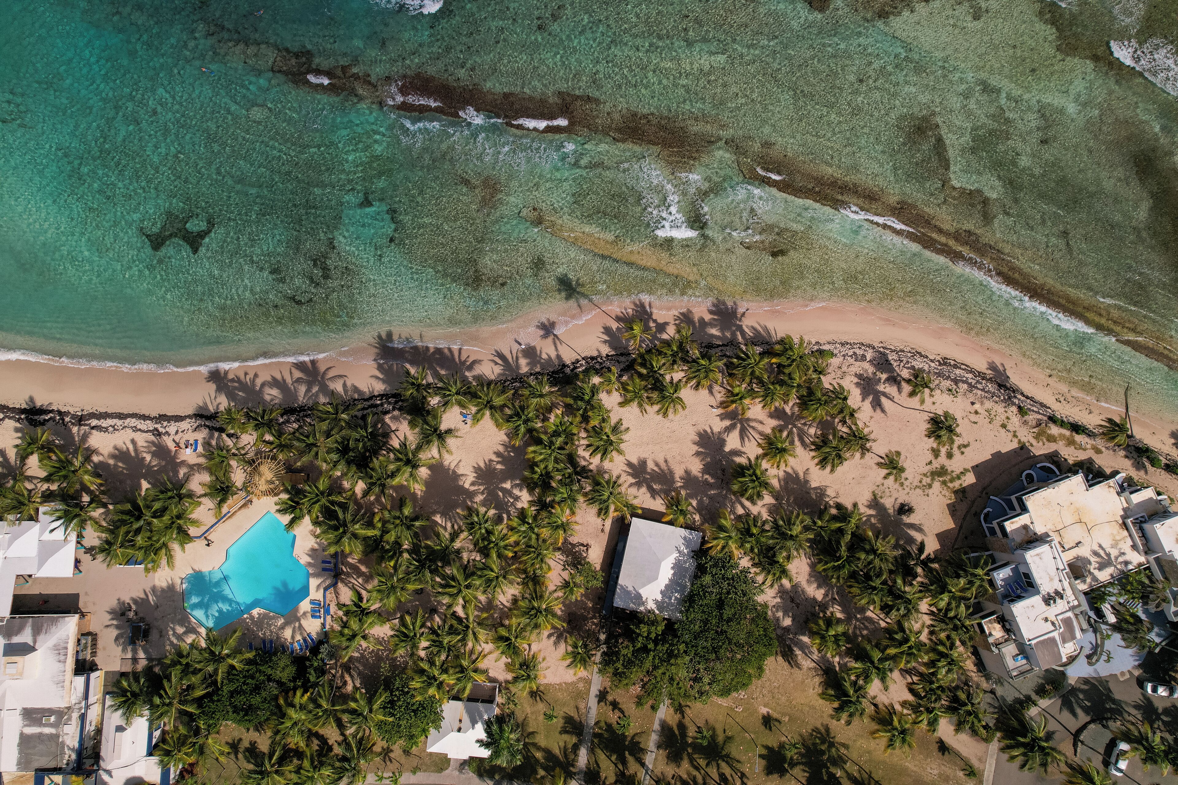 An aerial view of a beachside property with a swimming pool, palm trees, and a building with a flat roof.