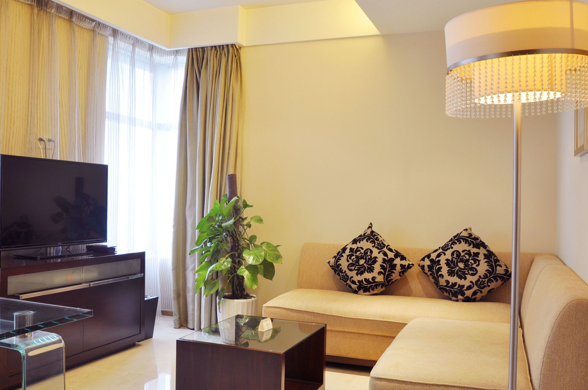 tv, dvd player, ping pong, pay films