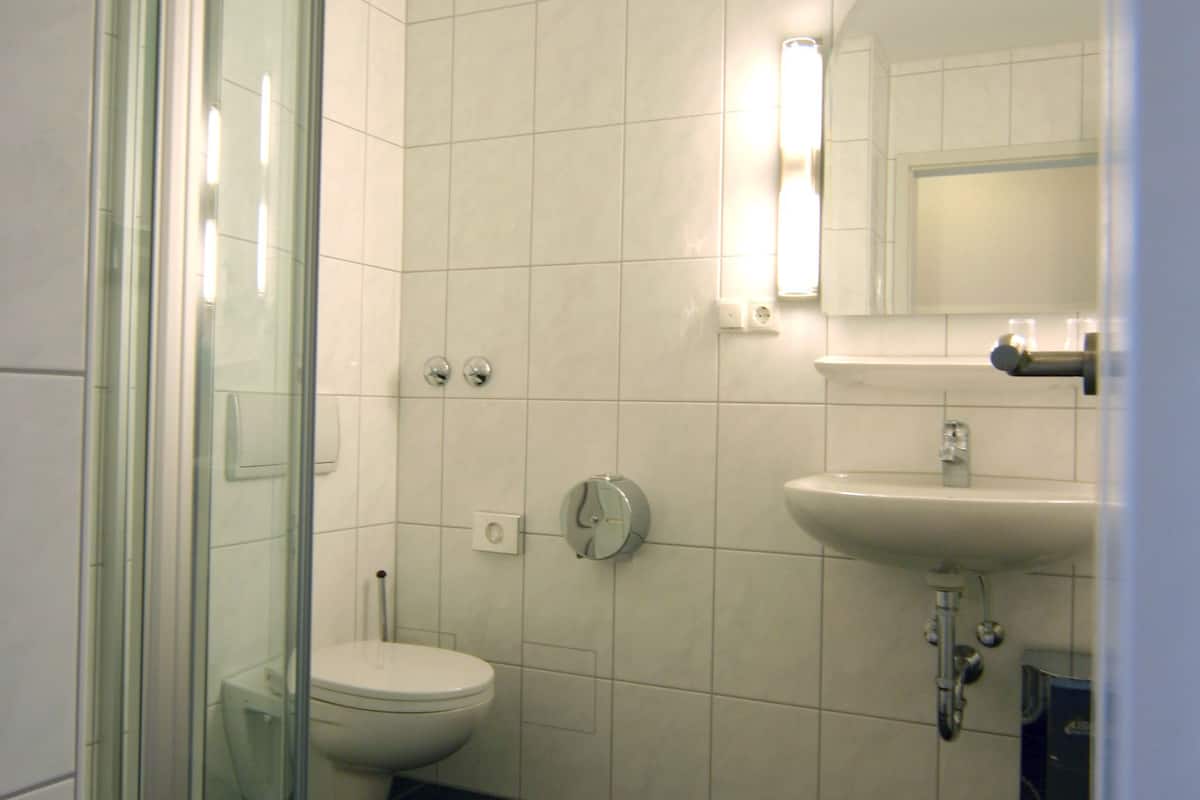 shower, free toiletries, hair dryer, towels