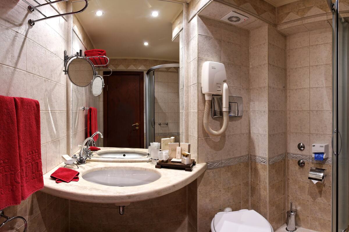 Minibar, Zimmersafe, Schreibtisch, Bügeleisen/Bügelbrett