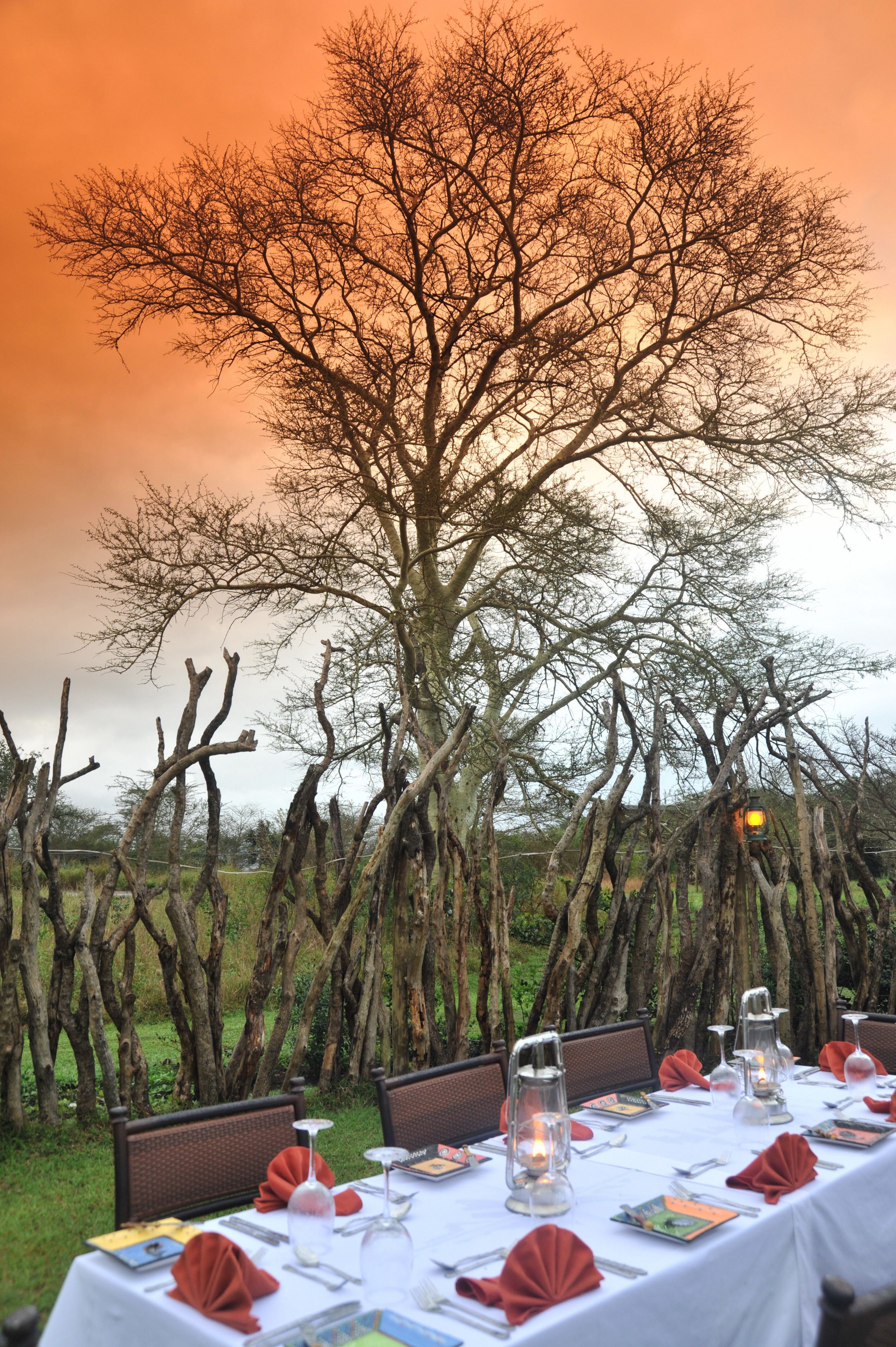 供應早餐、午餐和晚餐，非洲料理，花園景觀